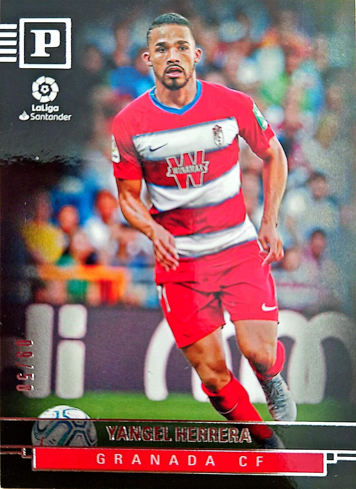 Yangel herrera panini Chronicles